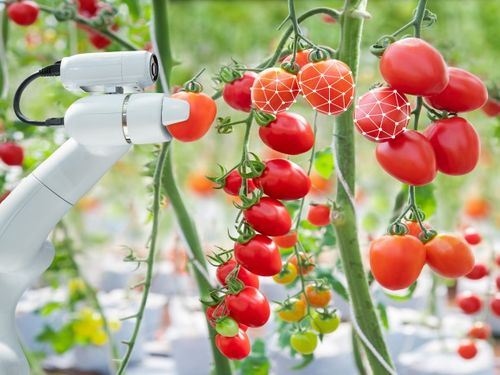 Khu nông nghiệp công nghệ cao được hưởng loạt chính sách ưu đãi mới