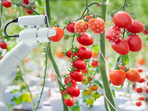 Khu nông nghiệp công nghệ cao được hưởng loạt chính sách ưu đãi mới