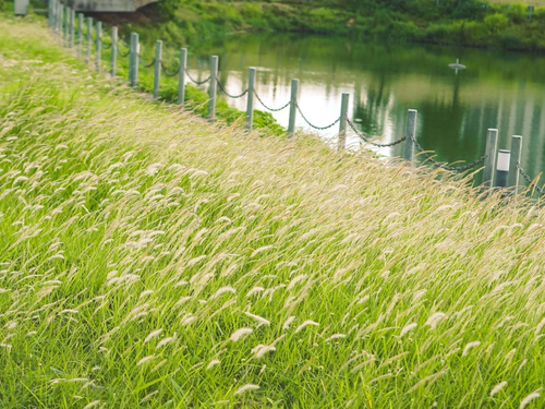 Công viên Mễ Trì – “lá phổi xanh” giữa lòng Hà Nội, điểm hẹn lý tưởng để trốn nóng ngày hè