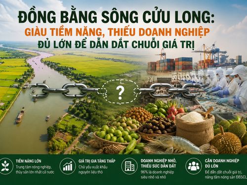 Đồng bằng sông Cửu Long: Giàu tiềm năng, thiếu doanh nghiệp đủ lớn để dẫn dắt chuỗi giá trị
