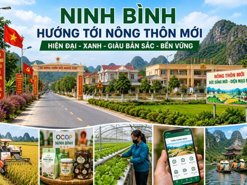Ninh Bình hướng tới nông thôn mới hiện đại, xanh và giàu bản sắc