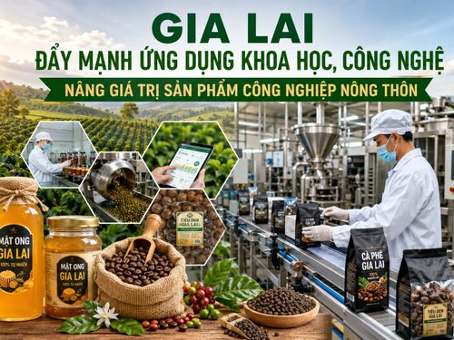 Gia Lai lấy khoa học, công nghệ làm động lực nâng giá trị sản phẩm công nghiệp nông thôn