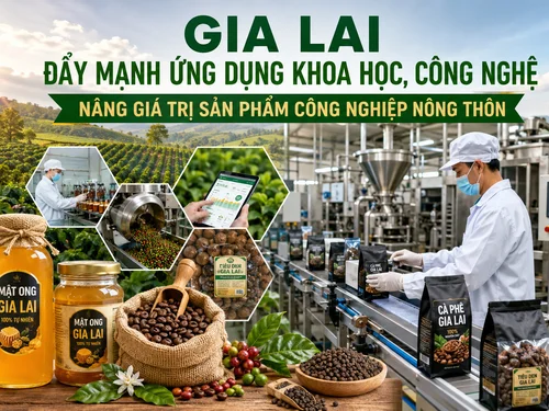Gia Lai lấy khoa học, công nghệ làm động lực nâng giá trị sản phẩm công nghiệp nông thôn