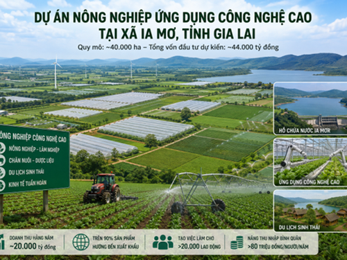 Gia Lai đề xuất siêu dự án nông nghiệp công nghệ cao 40.000 ha tại Ia Mơ