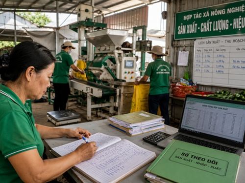 Tại sao nhiều hợp tác xã mua máy hiện đại nhưng vẫn phải thuê người ghi sổ bằng tay?