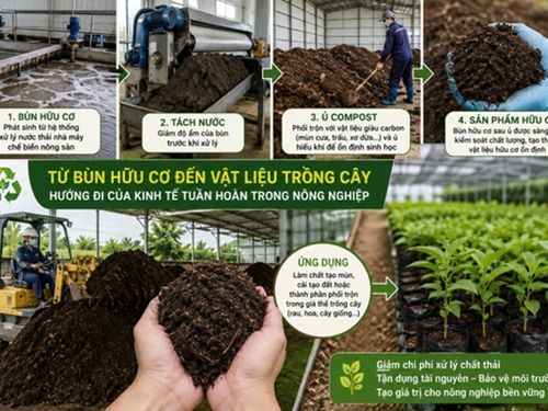 Từ bùn hữu cơ đến vật liệu trồng cây: Hướng đi mới của kinh tế tuần hoàn nông sản