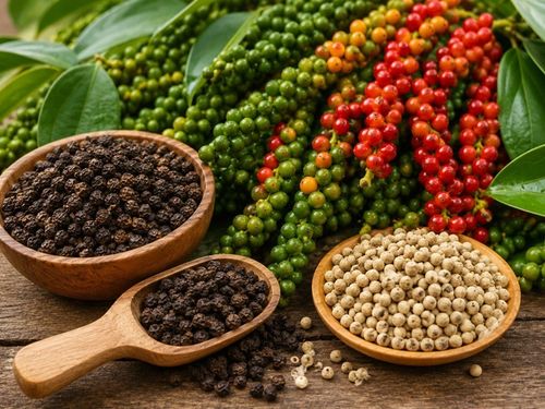 Giá nông sản hôm nay (13/8): Giá cà phê, hồ tiêu cùng giảm nhẹ