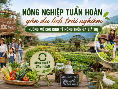 Nông nghiệp tuần hoàn gắn du lịch trải nghiệm: Hướng mở cho kinh tế nông thôn đa giá trị