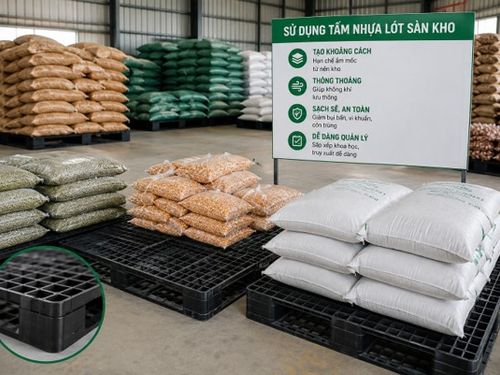 Tấm nhựa lót sàn kho: Giải pháp nhỏ đang giúp giảm thất thoát nông sản sau thu hoạch