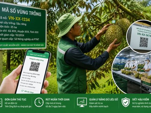 Tăng hậu kiểm, xử lý tình trạng mua bán và sử dụng sai mã số vùng trồng
