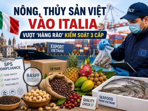 Nông sản, thực phẩm và thủy sản Việt Nam vào Italia: Doanh nghiệp cần vượt “hàng rào” kiểm soát 3 cấp