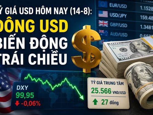 Tỷ giá USD hôm nay (14-8): Tỷ giá trung tâm tăng 27 đồng, USD thế giới biến động trái chiều