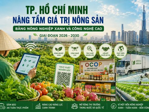 TP. Hồ Chí Minh nâng tầm giá trị nông sản bằng nông nghiệp xanh và công nghệ cao