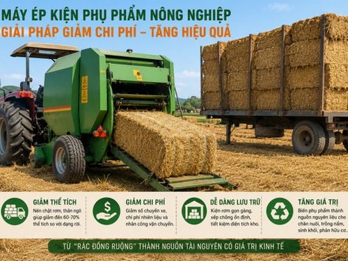 Máy ép kiện phụ phẩm nông nghiệp: “Chìa khóa logistics” giúp rơm và thân ngô có giá trị hơn