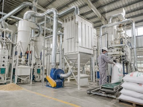 Vì sao nhiều nhà máy nông sản bắt đầu đầu tư hệ thống hút bụi thay vì chỉ mở thêm quạt?