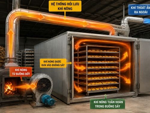 Khí nóng không còn bị “thổi bỏ”: Bí quyết giảm chi phí nhiên liệu của các lò sấy nông sản