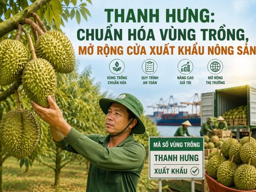 Thanh Hưng: Chuẩn hóa vùng trồng, mở rộng cửa xuất khẩu nông sản