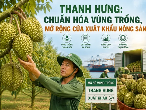 Thanh Hưng: Chuẩn hóa vùng trồng, mở rộng cửa xuất khẩu nông sản