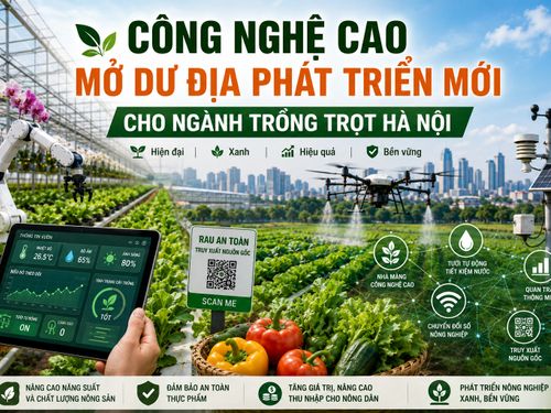Công nghệ cao mở dư địa phát triển mới cho ngành trồng trọt Hà Nội
