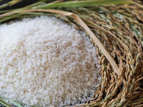 Giá nông sản hôm nay 16/8: Tiêu giữ giá, cà phê giảm phiên thứ tư liên tiếp