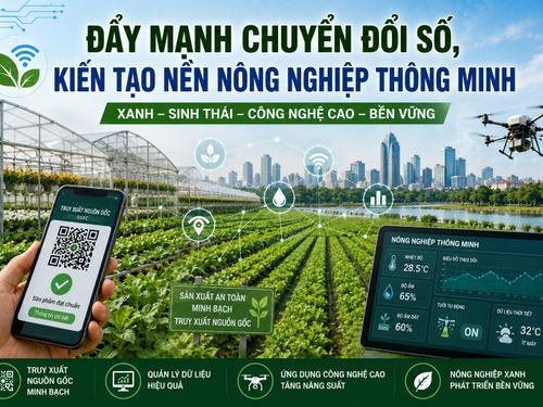 Hà Nội đẩy mạnh chuyển đổi số, kiến tạo nền nông nghiệp thông minh