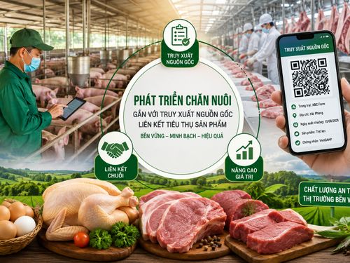 Phát triển chăn nuôi gắn với truy xuất nguồn gốc, liên kết tiêu thụ sản phẩm