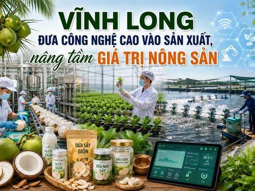 Vĩnh Long đưa công nghệ cao vào sản xuất, nâng tầm giá trị nông sản