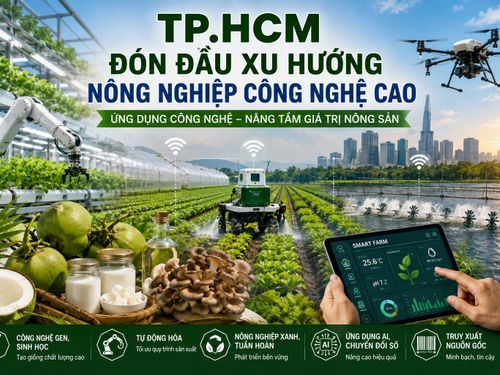TP.HCM đón đầu xu hướng nông nghiệp công nghệ cao
