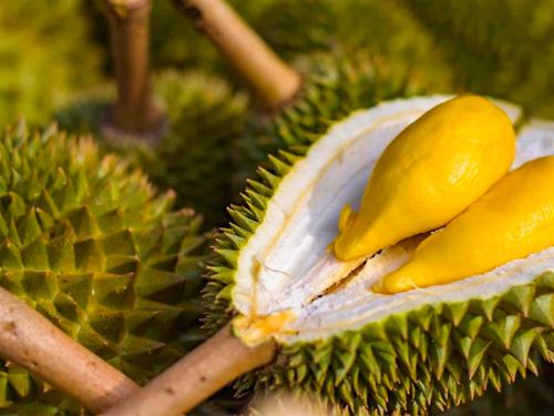 Giá sầu riêng hôm nay 17/8: Sầu Thái loại A tăng tại Gia La