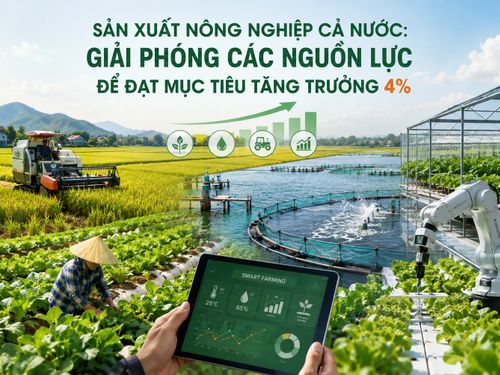 Nông nghiệp tăng tốc những tháng cuối năm, quyết tâm đạt mục tiêu tăng trưởng 4%
