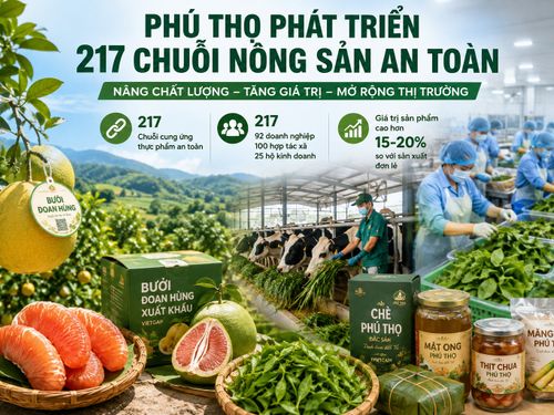 Phú Thọ phát triển 217 chuỗi nông sản an toàn, nâng giá trị sản phẩm