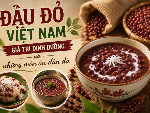 Đậu đỏ Việt Nam: Giá trị dinh dưỡng và những món ăn dân dã