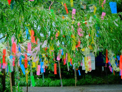 Thất Tịch trong văn hóa Á Đông: Cùng một truyền thuyết, những cách đón khác nhau