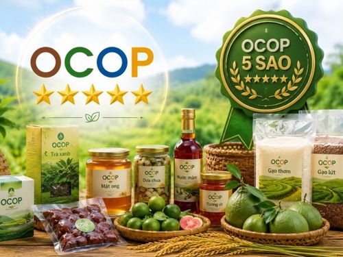 Có sao OCOP rồi, làm sao giữ được chất lượng?