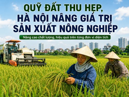 Quỹ đất thu hẹp, Hà Nội nâng giá trị sản xuất nông nghiệp
