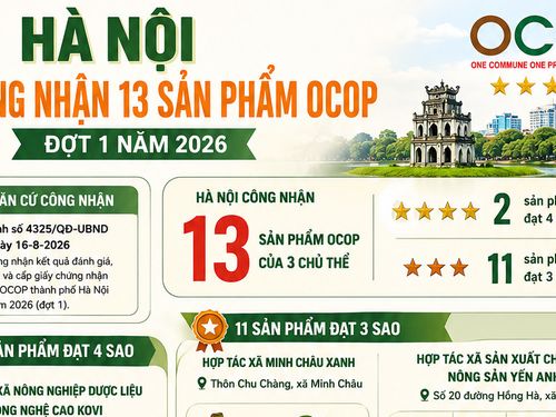 [Infographic] Hà Nội công nhận 13 sản phẩm OCOP đợt 1 năm 2026