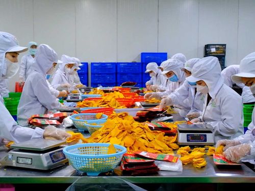 Thanh Hóa phát triển chế biến sâu, gia tăng sức cạnh tranh cho nông sản