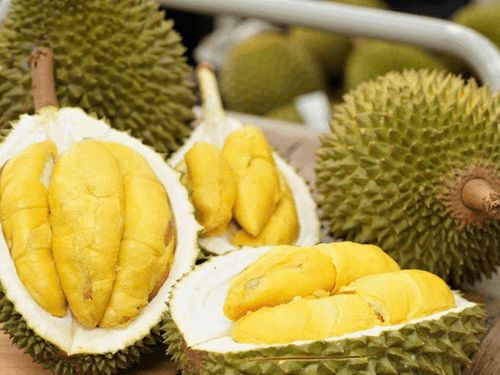 Giá sầu riêng hôm nay 19/8: Sầu Thái loại đẹp giữ giá cao, Tây Nguyên dẫn đầu