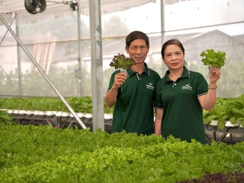 TMT – Khởi nghiệp ở tuổi U70, gieo khát vọng về nền nông nghiệp sạch