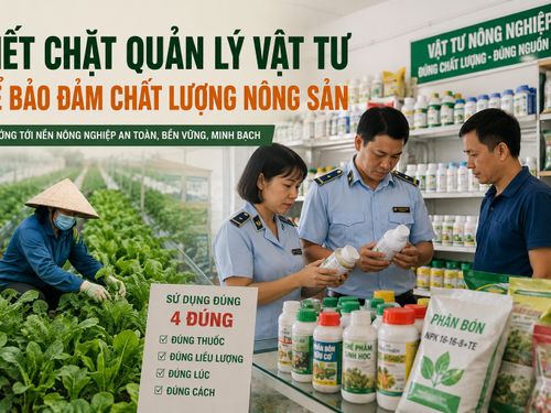 Hà Nội siết quản lý vật tư nông nghiệp, bảo đảm chất lượng nông sản từ đầu vào