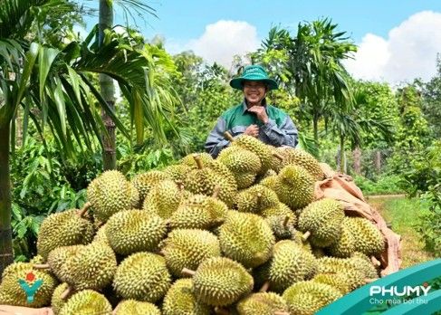 Từ bao phân đến dữ liệu đất: PVFCCo - Phú Mỹ đưa công nghệ vào vùng sầu riêng Đắk Lắk
