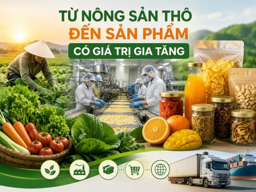 Từ nông sản thô đến sản phẩm giá trị cao: Hà Nội đẩy mạnh chế biến sâu