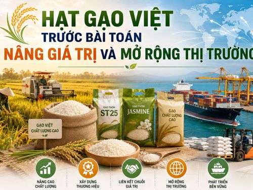Hạt gạo Việt trước bài toán nâng giá trị và mở rộng thị trường