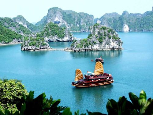 Từ 1/9, mỗi địa điểm sẽ có mã định danh 12 chữ số, có thể khai thác trên VNeID