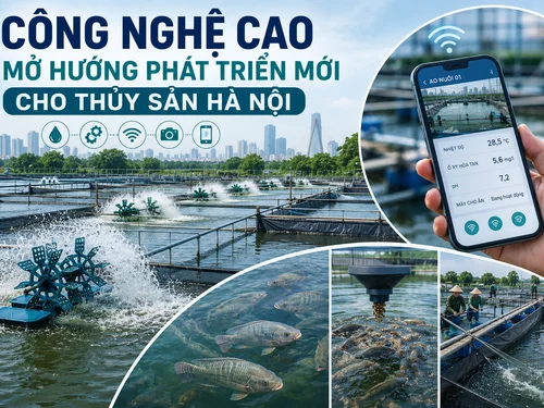Công nghệ cao mở hướng phát triển mới cho thủy sản Hà Nội