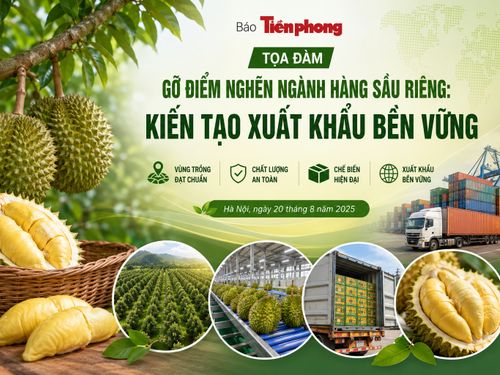 Gỡ điểm nghẽn ngành hàng sầu riêng, hướng tới xuất khẩu bền vững