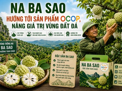 Na Ba Sao hướng tới sản phẩm OCOP, nâng giá trị vùng đất đá