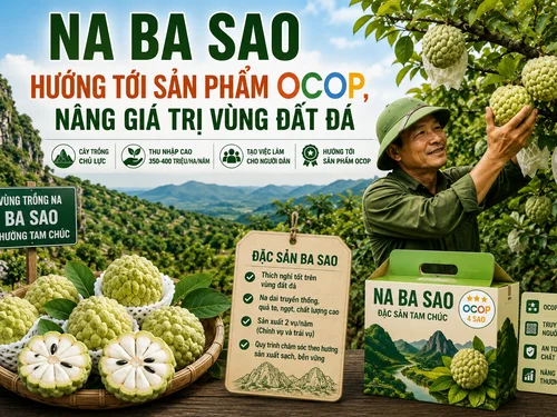 Na Ba Sao hướng tới sản phẩm OCOP, nâng giá trị vùng đất đá