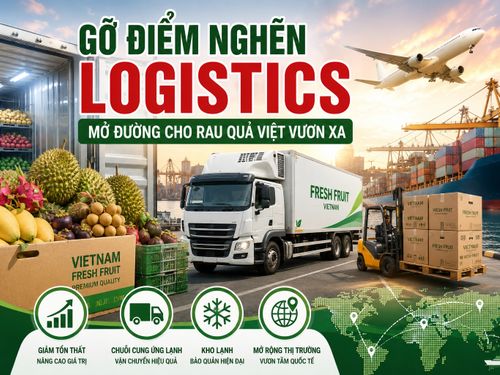 Gỡ điểm nghẽn logistics, mở đường cho rau quả Việt vươn xa