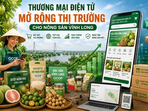 Thương mại điện tử mở rộng thị trường cho nông sản Vĩnh Long